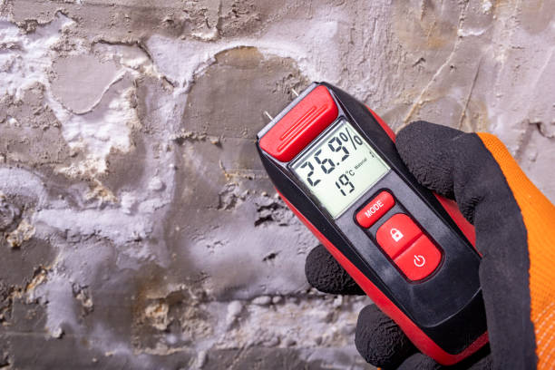 Best Affordable Mold Removal  in Clinton, MO